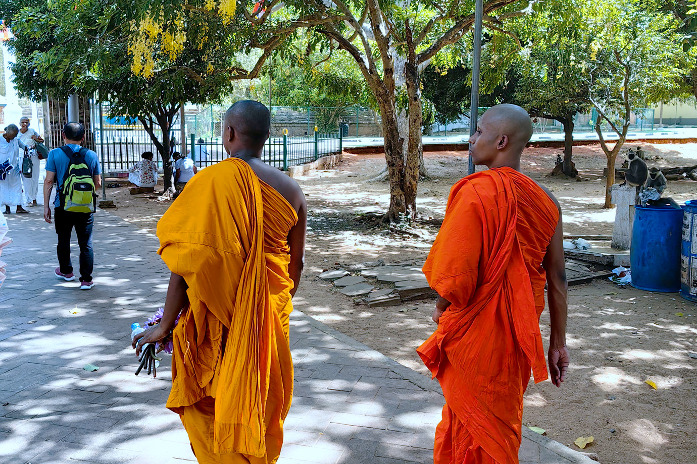 斯里蘭卡-阿努拉德普勒 Anuradhapura 八神聖的地方